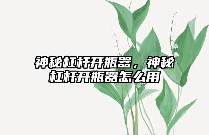 神秘杠桿開瓶器，神秘杠桿開瓶器怎么用