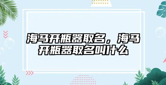 海馬開瓶器取名，海馬開瓶器取名叫什么