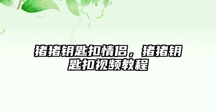 豬豬鑰匙扣情侶，豬豬鑰匙扣視頻教程