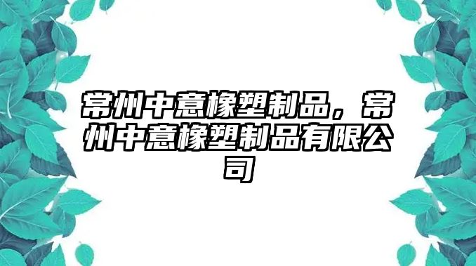 常州中意橡塑制品，常州中意橡塑制品有限公司