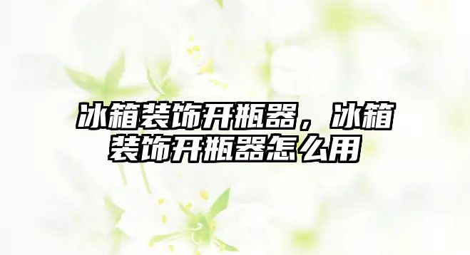 冰箱裝飾開瓶器，冰箱裝飾開瓶器怎么用