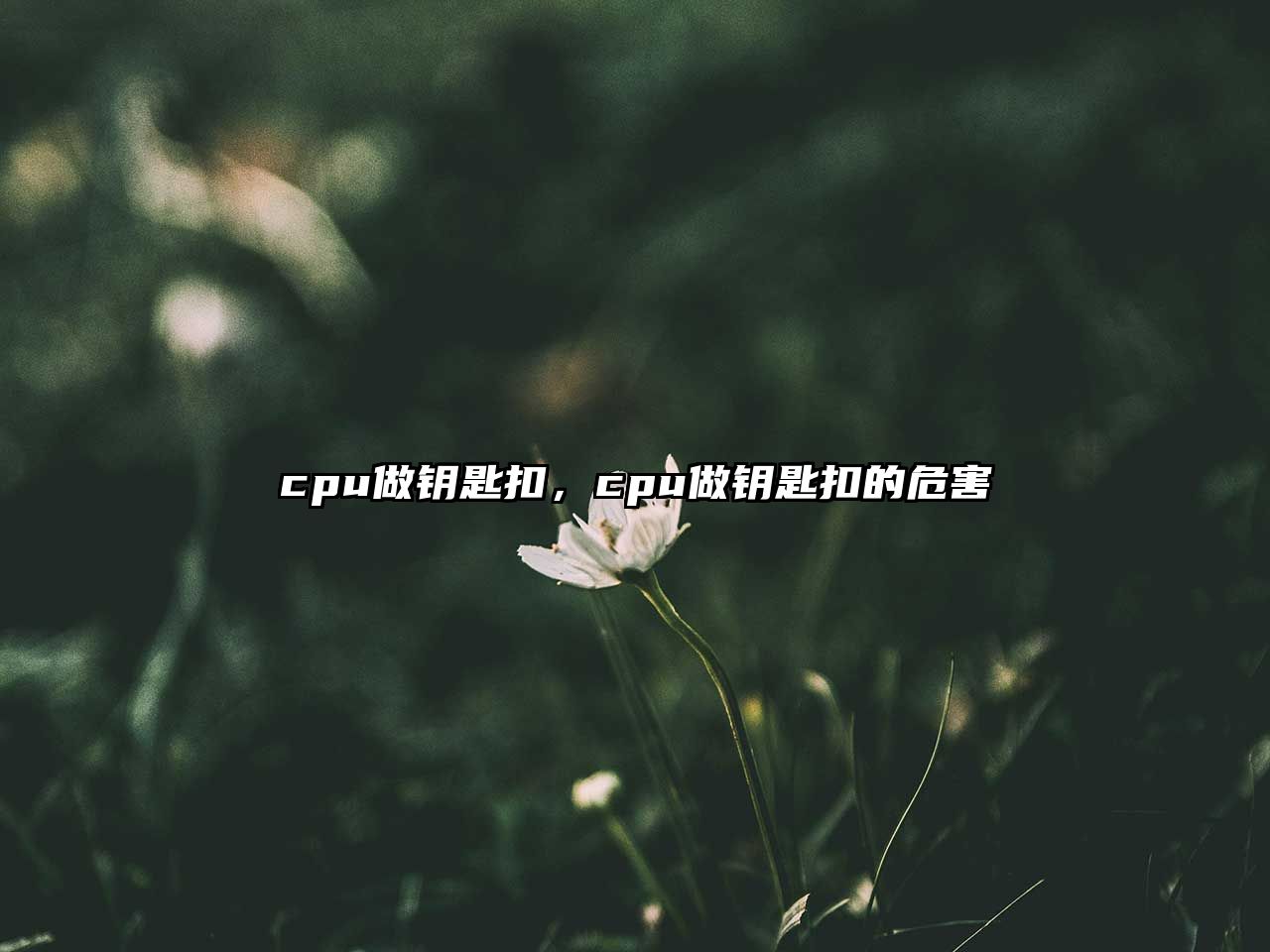 cpu做鑰匙扣，cpu做鑰匙扣的危害