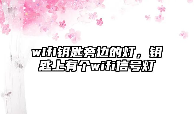 wifi鑰匙旁邊的燈，鑰匙上有個(gè)wifi信號(hào)燈