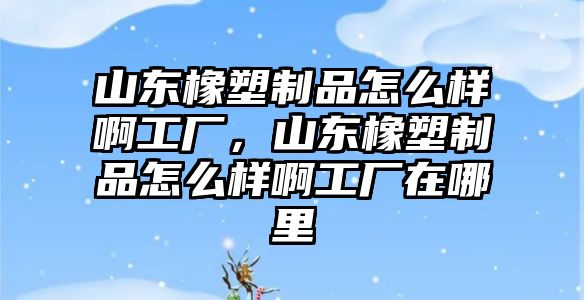 山東橡塑制品怎么樣啊工廠，山東橡塑制品怎么樣啊工廠在哪里