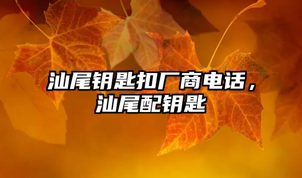 汕尾鑰匙扣廠商電話，汕尾配鑰匙