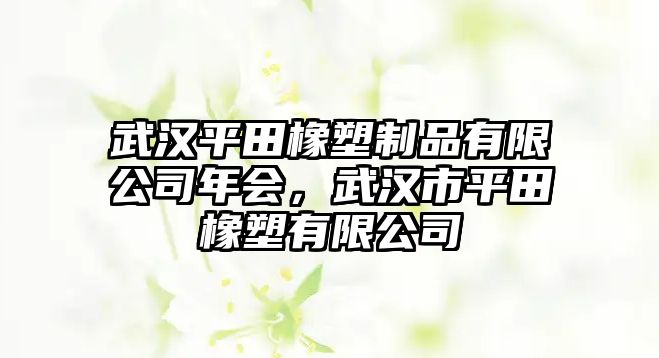 武漢平田橡塑制品有限公司年會，武漢市平田橡塑有限公司