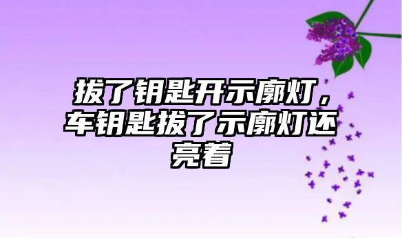 拔了鑰匙開示廓燈，車鑰匙拔了示廓燈還亮著