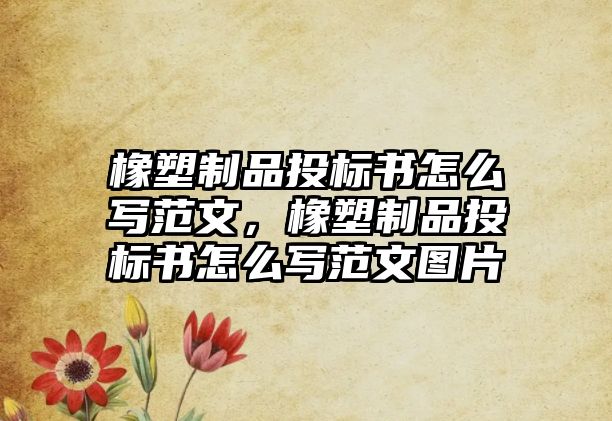 橡塑制品投標(biāo)書怎么寫范文，橡塑制品投標(biāo)書怎么寫范文圖片