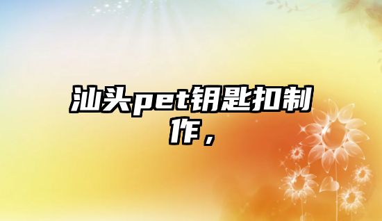 汕頭pet鑰匙扣制作，