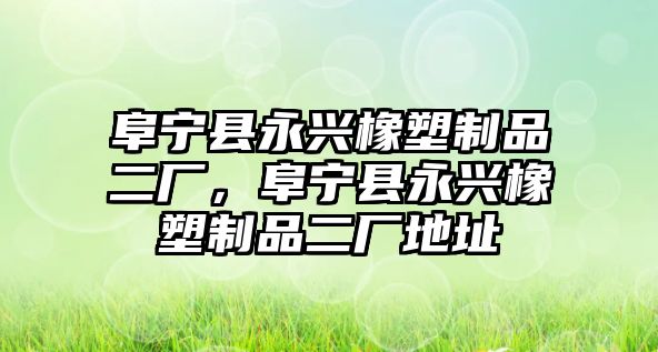 阜寧縣永興橡塑制品二廠，阜寧縣永興橡塑制品二廠地址