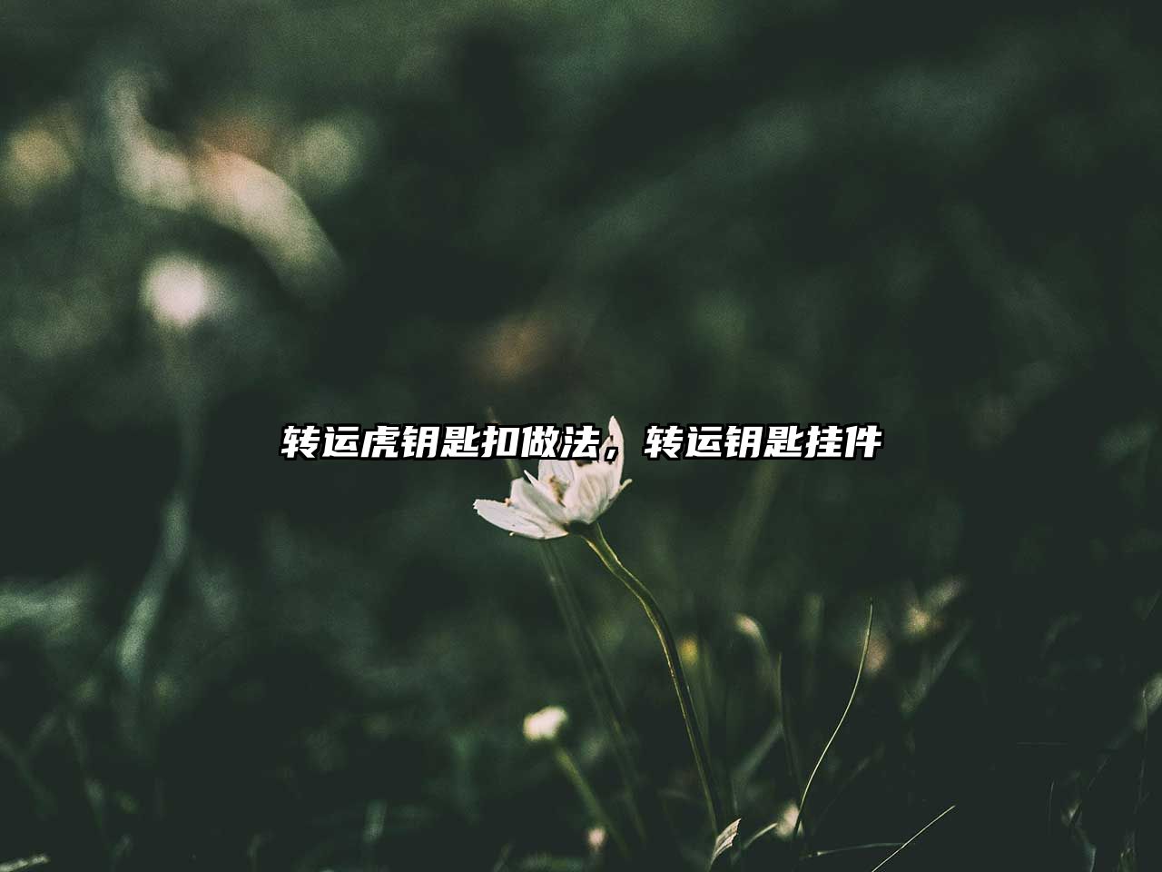 轉(zhuǎn)運虎鑰匙扣做法，轉(zhuǎn)運鑰匙掛件