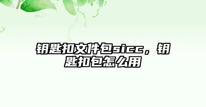 鑰匙扣文件包sicc，鑰匙扣包怎么用