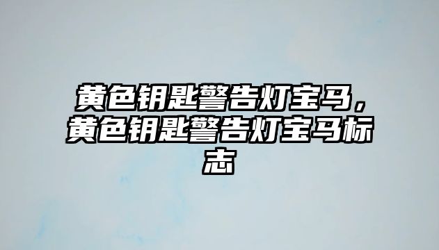 黃色鑰匙警告燈寶馬，黃色鑰匙警告燈寶馬標(biāo)志