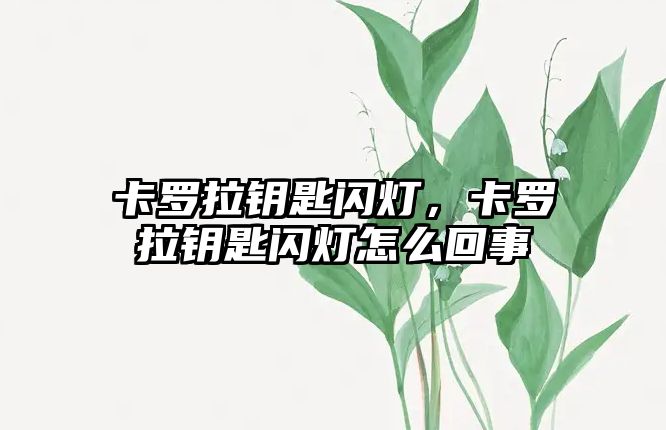 卡羅拉鑰匙閃燈，卡羅拉鑰匙閃燈怎么回事