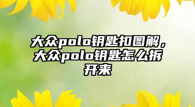 大眾polo鑰匙扣圖解，大眾polo鑰匙怎么拆開來