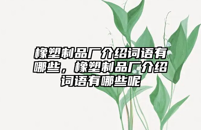 橡塑制品廠介紹詞語有哪些，橡塑制品廠介紹詞語有哪些呢