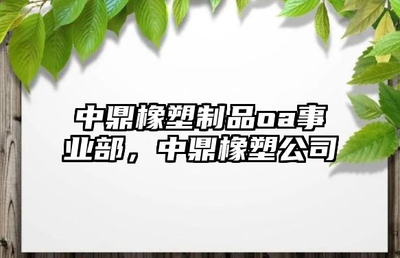 中鼎橡塑制品oa事業(yè)部，中鼎橡塑公司